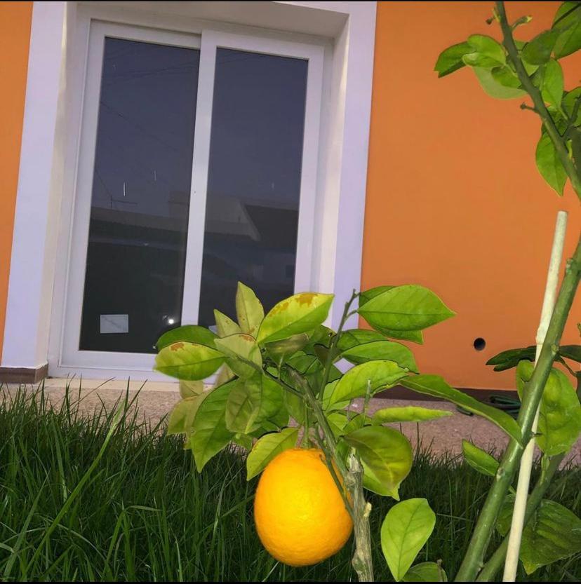 Orange Guest House Sagres Exterior foto