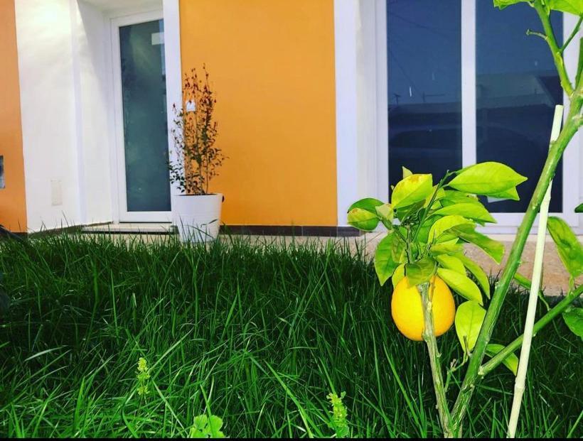 Orange Guest House Sagres Exterior foto